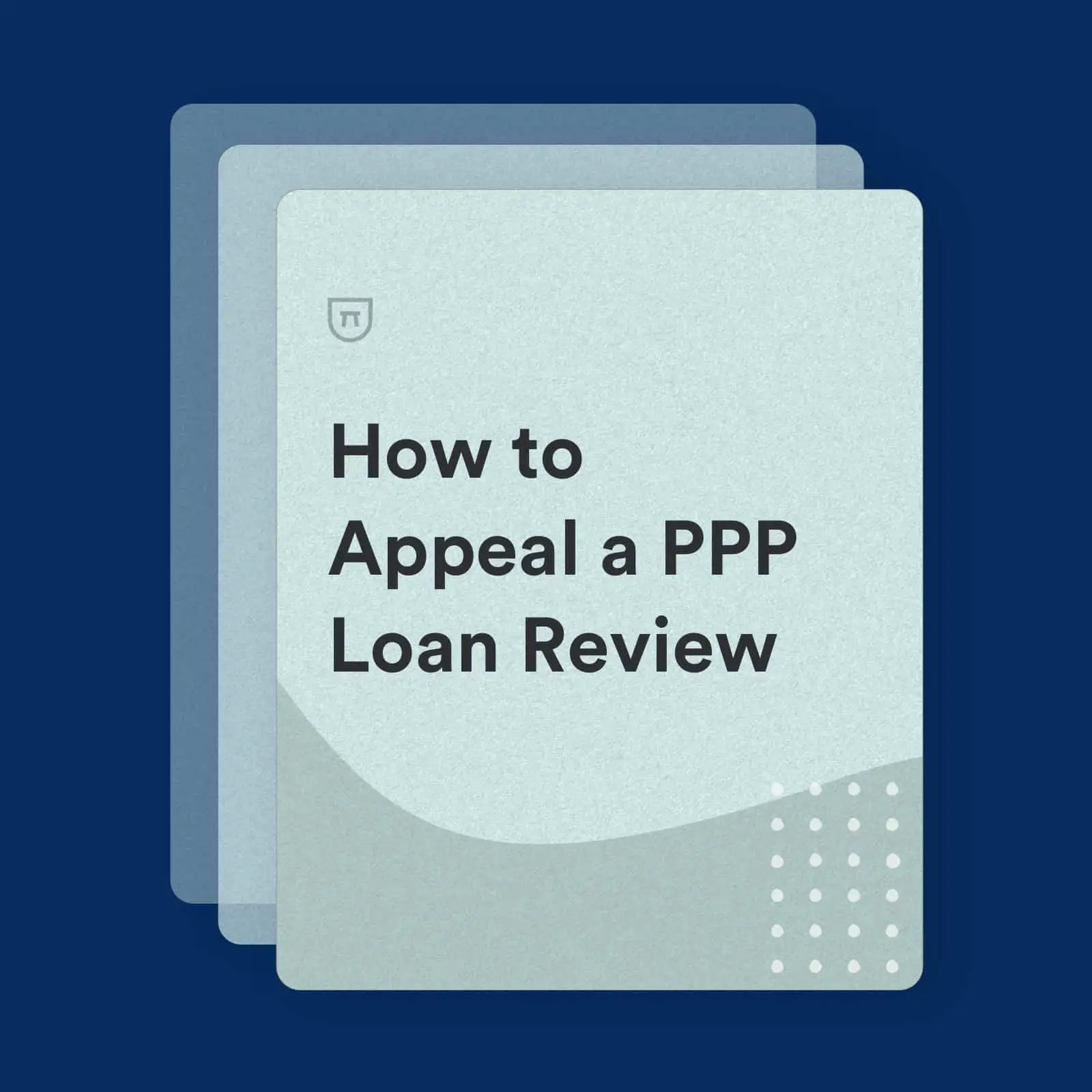 How to Appeal a PPP Loan Review