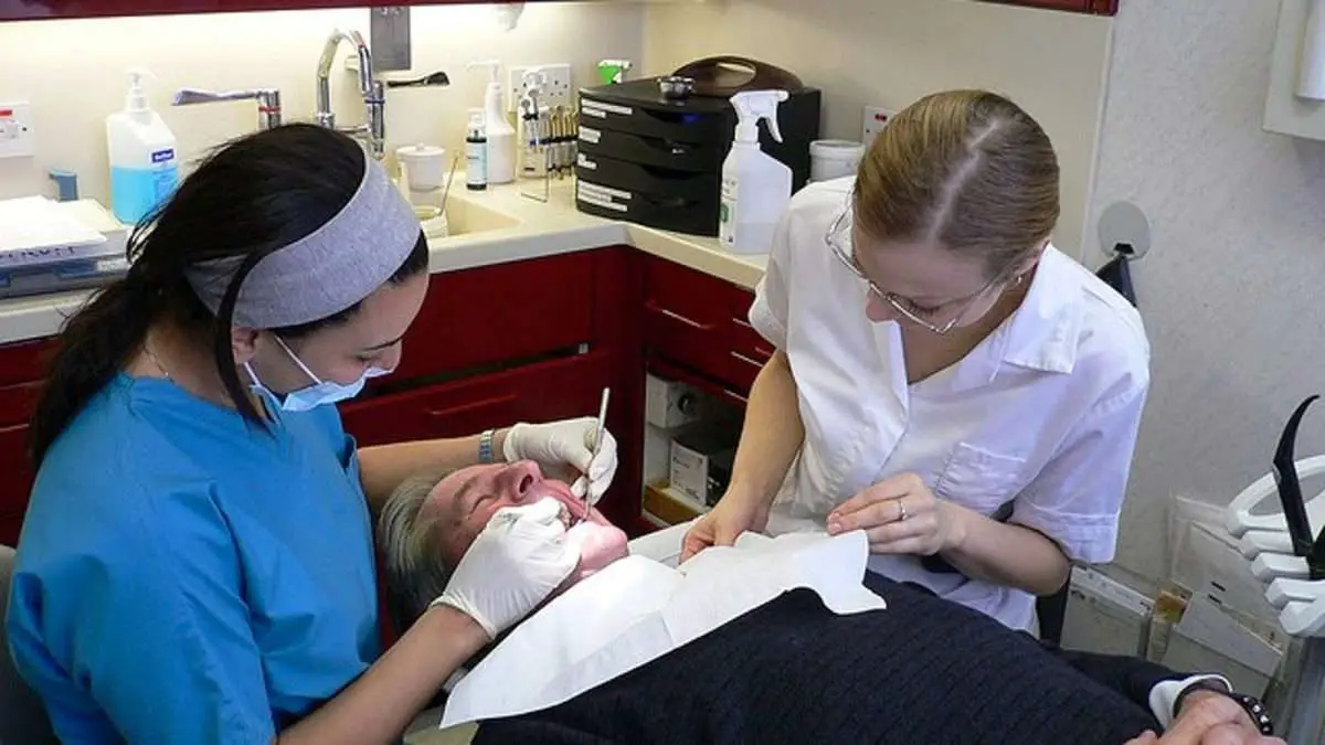 Instead of Buying Dental Insurance, You May Want to Consider a Discount ...
