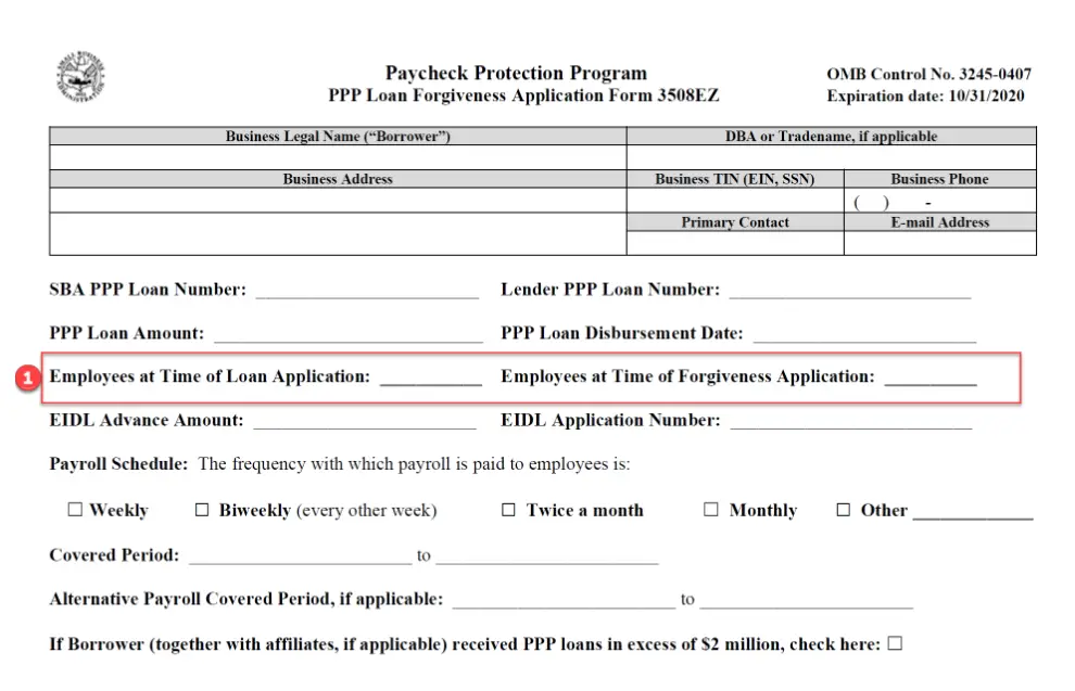 PPP Loan Step
