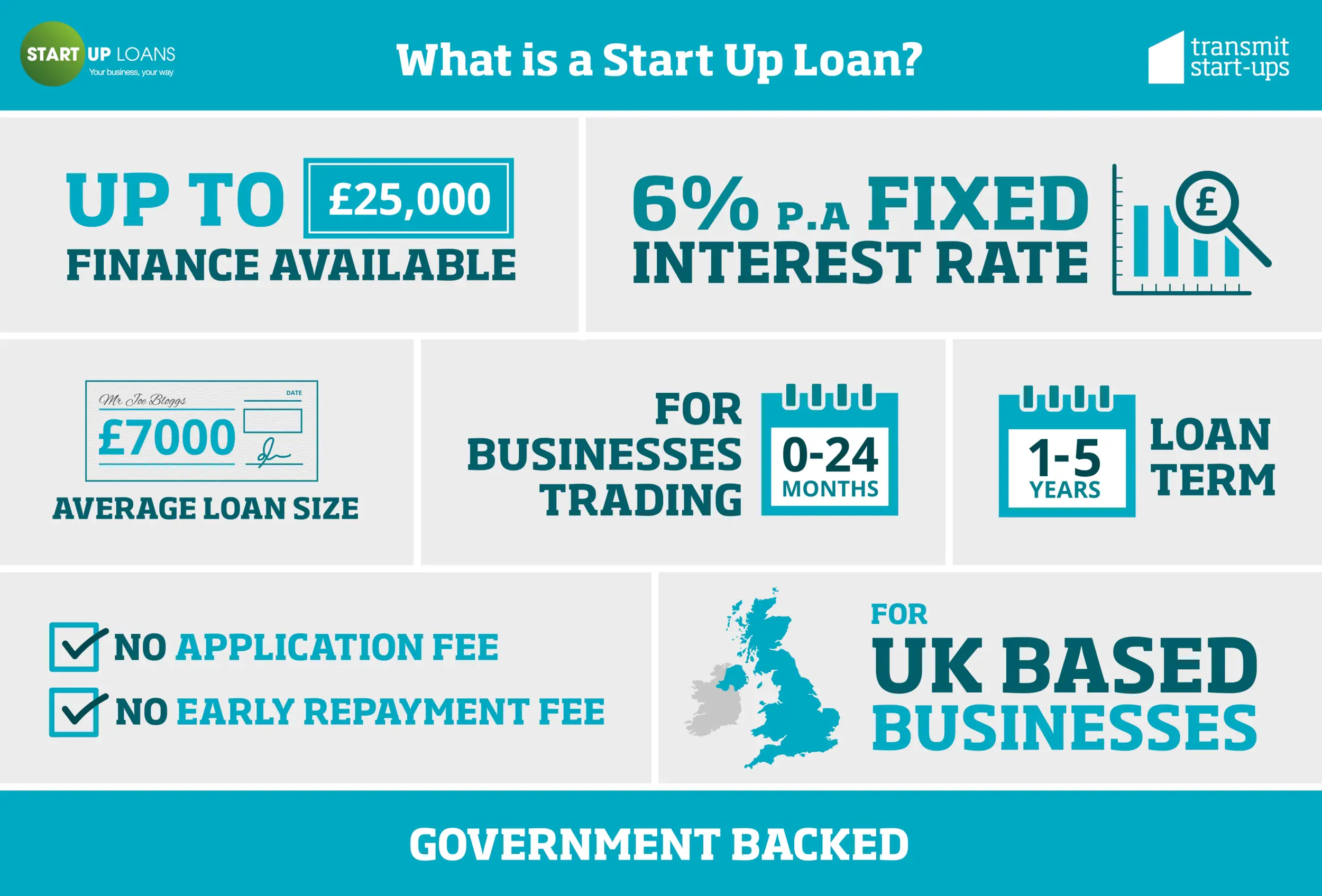 The Pros and Cons of Using Government Business Loans For Your Startup