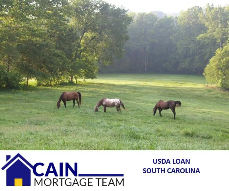 USDA loan South Carolina: Columbia, SC, Best, Home, Lender, Lexington ...